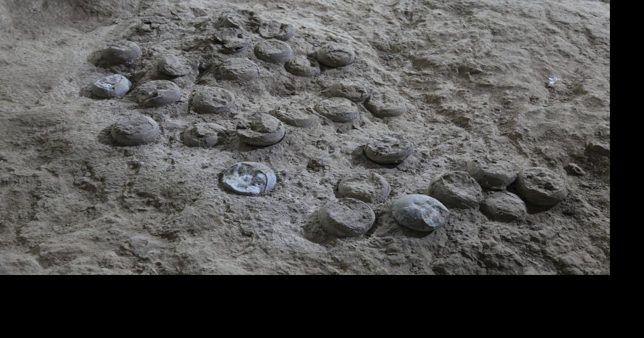 New ‘atomic clock’ method used to date 85-million-year-old dinosaur eggs