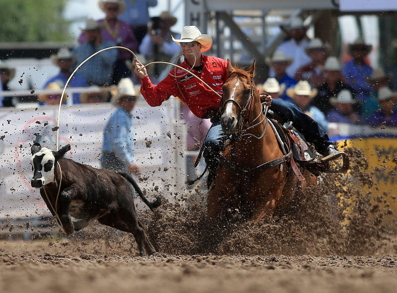 Top Tie Down Ropers Steer Wrestlers Boycott Cfd Over Tournament Style Rodeo Local News Wyomingnews Com
