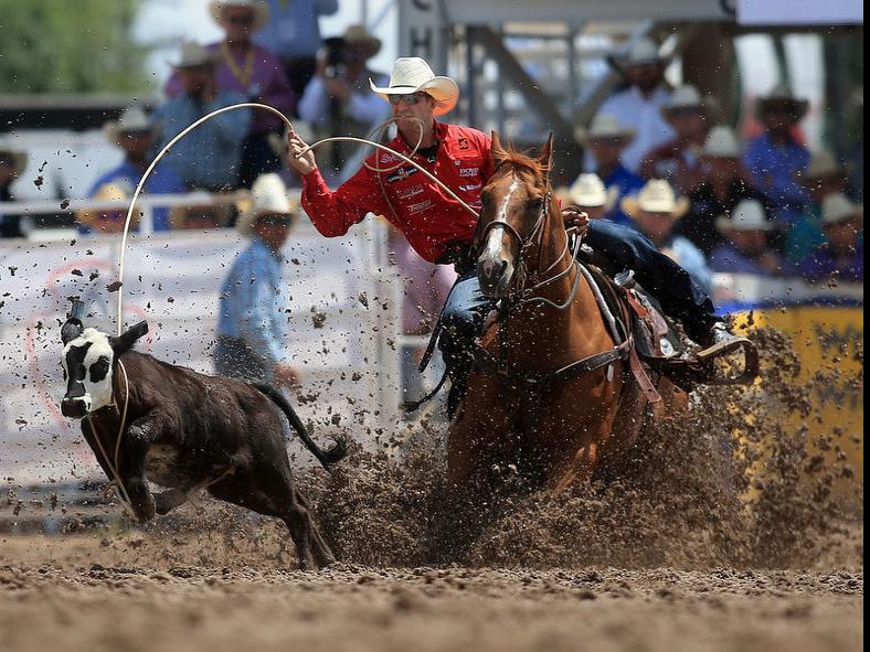 Top Tie Down Ropers Steer Wrestlers Boycott Cfd Over Tournament Style Rodeo Local News Wyomingnews Com
