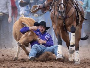Steer wrestler Justin Shaffer, horse Banker a lucrative pair