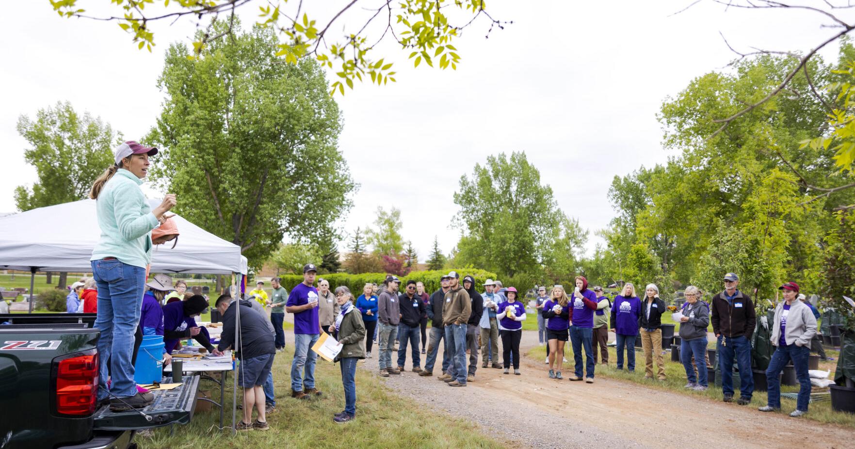 Rooted in Laramie seeks volunteers for tree planting - Vimarsana News
