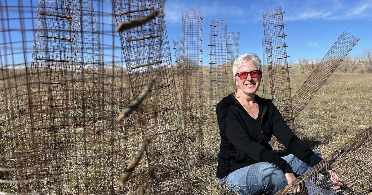 Jennifer Rief Local artist Jennifer Rife awarded Simpson fellowship at Ucross | Local ...