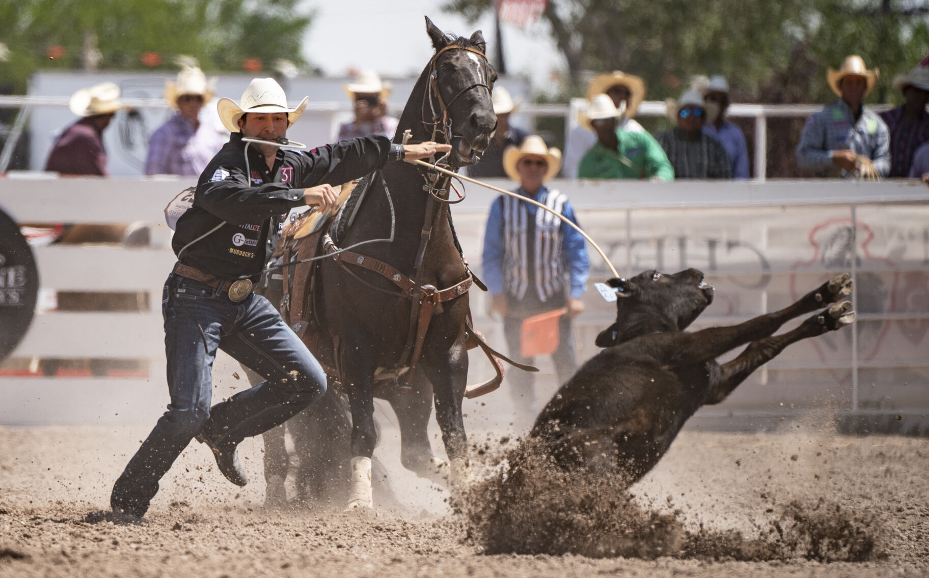 Shelby Boijolis-Meged, Haven Meged Balance Marriage And Rodeo ...