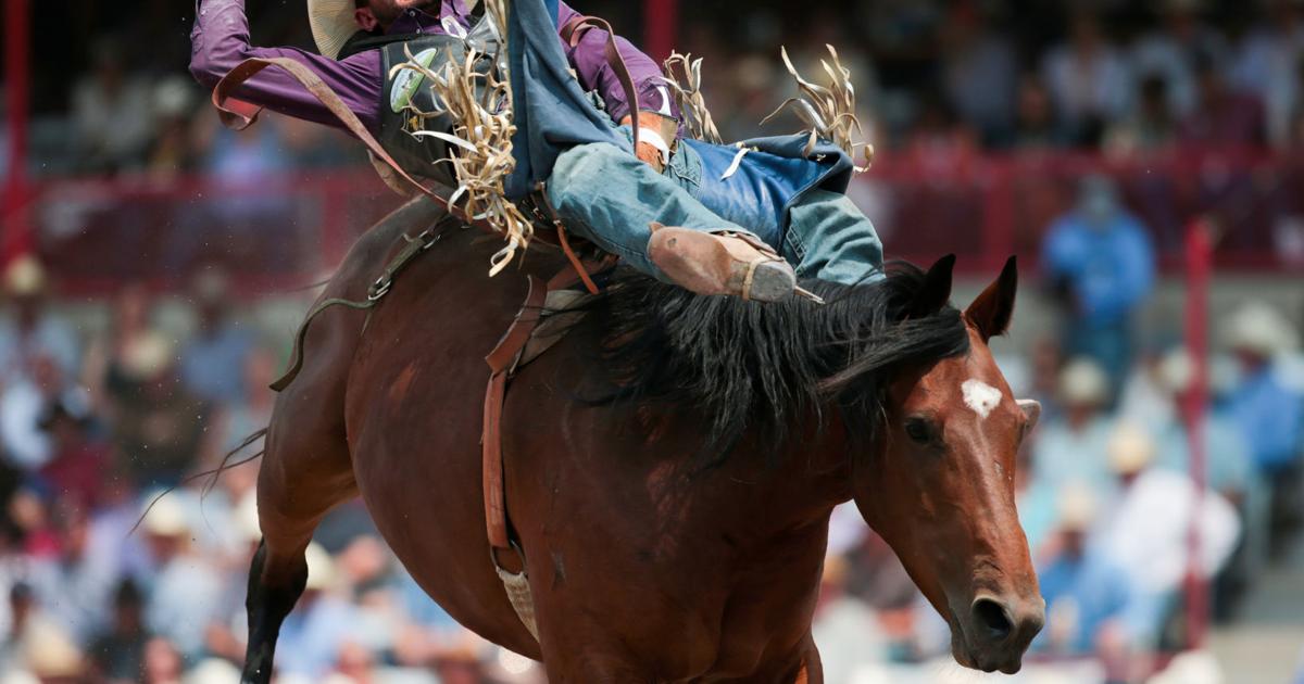 Cheyenne Frontier Days reports record turnout in 2021 | Local News Cheyenne Frontier Days reports record turnout in 2021 | Local News