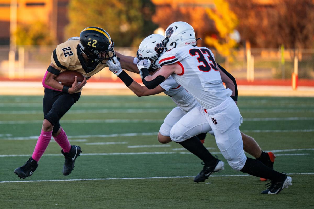 RSHS dominates a nocontest game Bisons no match for Tigers Rocket