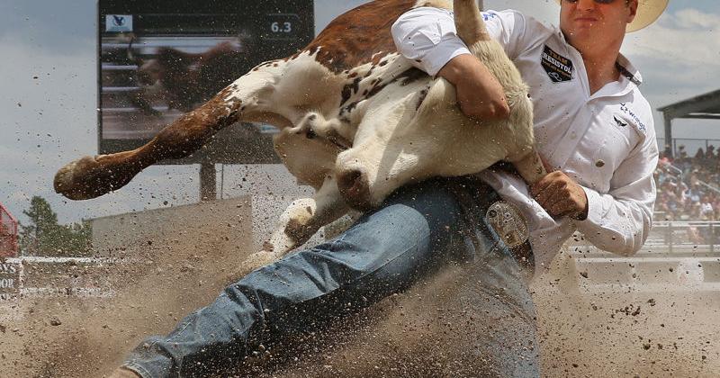 CFD Rodeo: Performance 9 | Gallery | wyomingnews.com