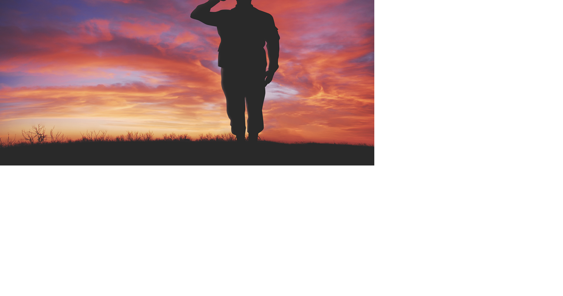 Celebrate Veterans Day with a number of local events | Rocket Miner ...