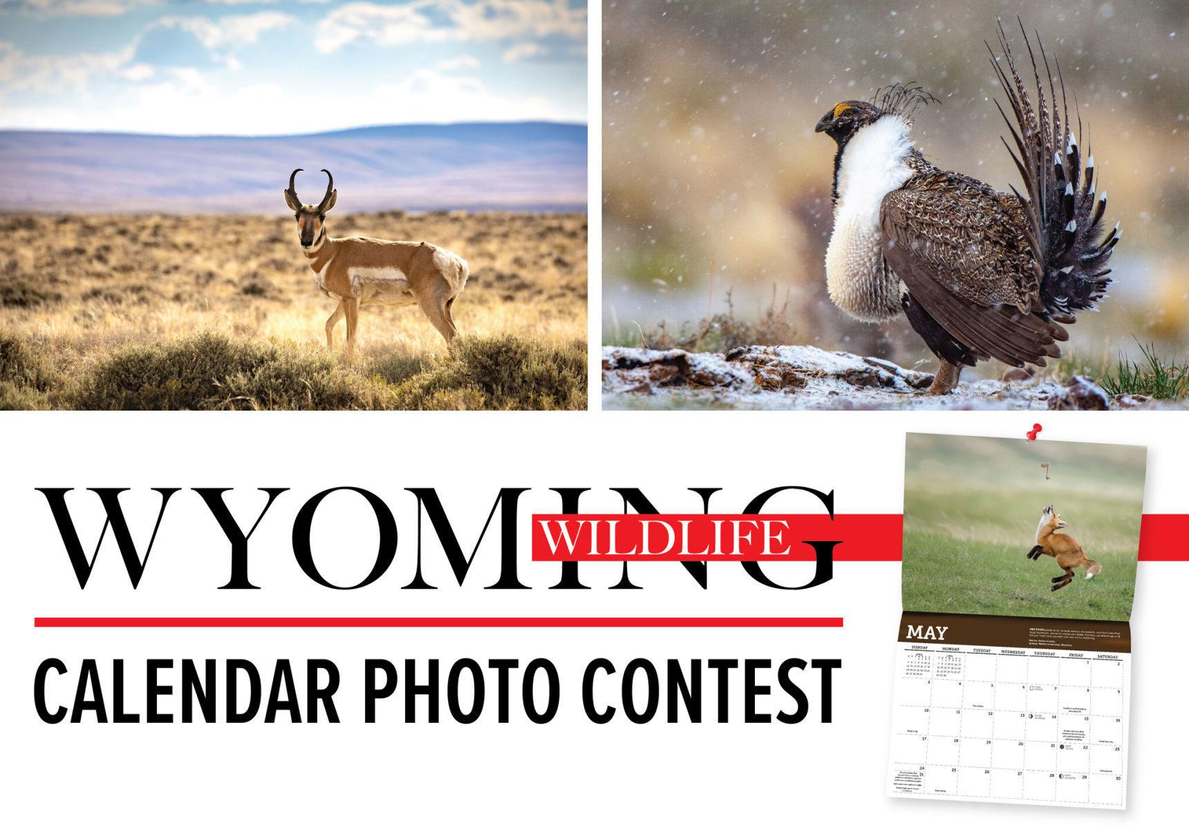 Wyoming Wildlife calendar photo contest open Local