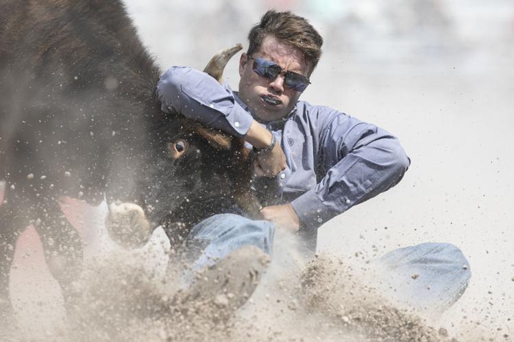 CFD Rodeo Saturday | Gallery | wyomingnews.com