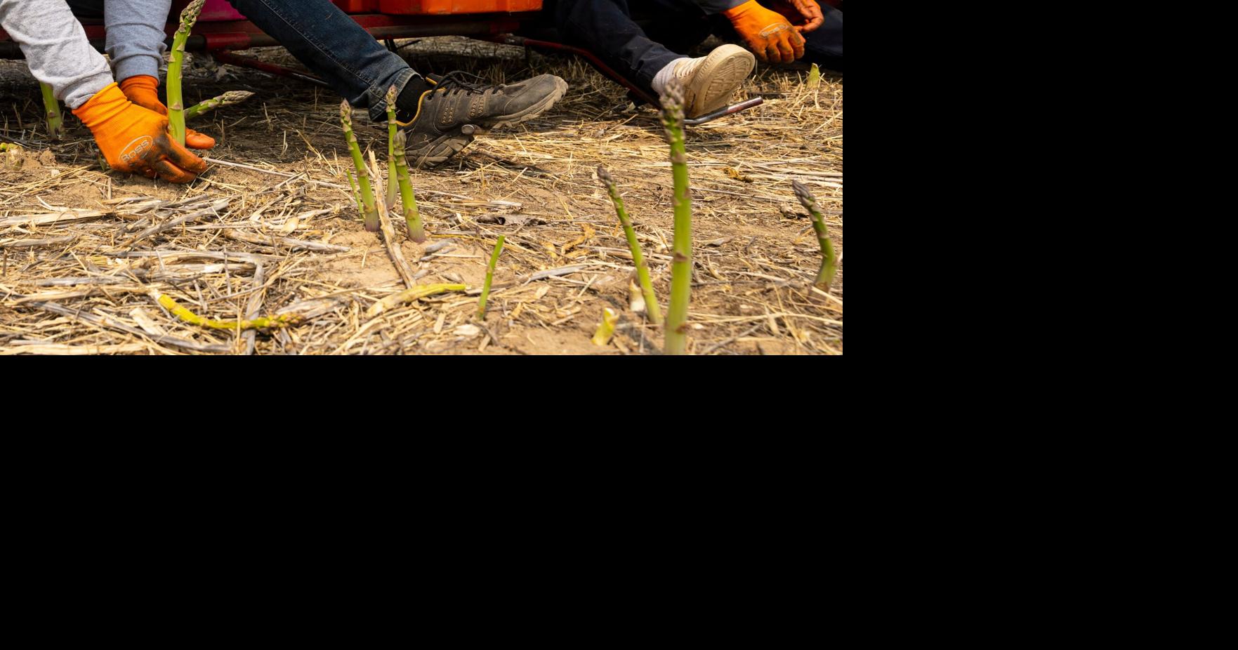 ‘A hidden crime': Labor trafficking goes underreported in Wyoming, Montana