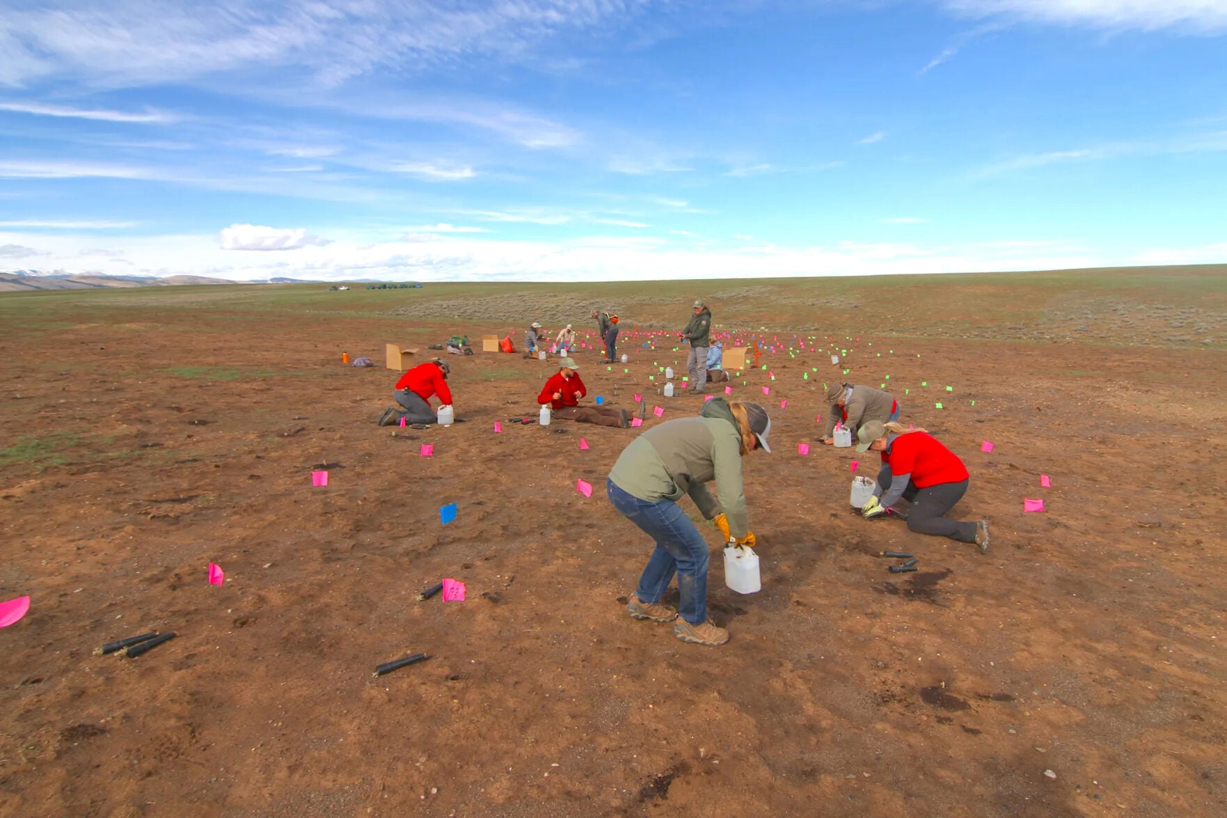 Restoring Wyoming’s largest 2026 fire scar, one sagebrush seedling at a ...