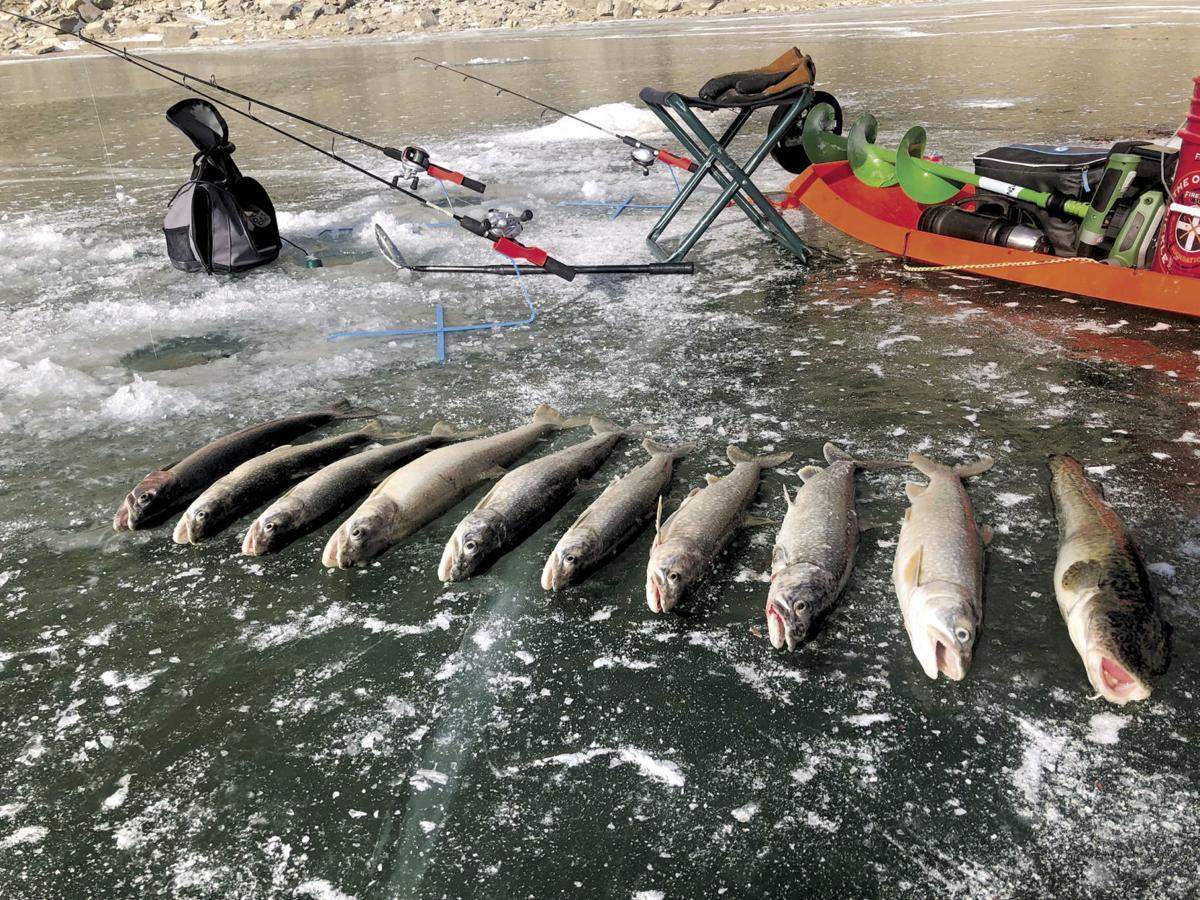 Lake trout limit increases at Flaming Reservoir Local