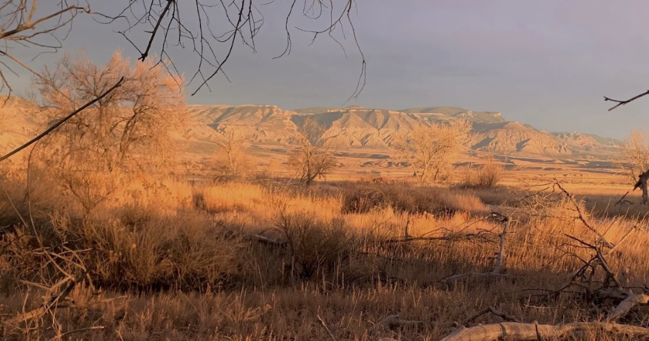 Wyoming, tribal impasse over hunting rights persists despite judicial order - Vimarsana News
