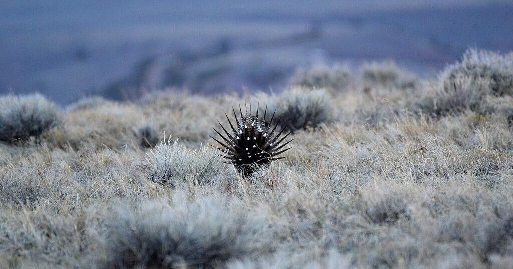 Grand plans for ecotourism on the reservation
