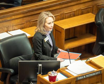Sen. Tara Nethercott
