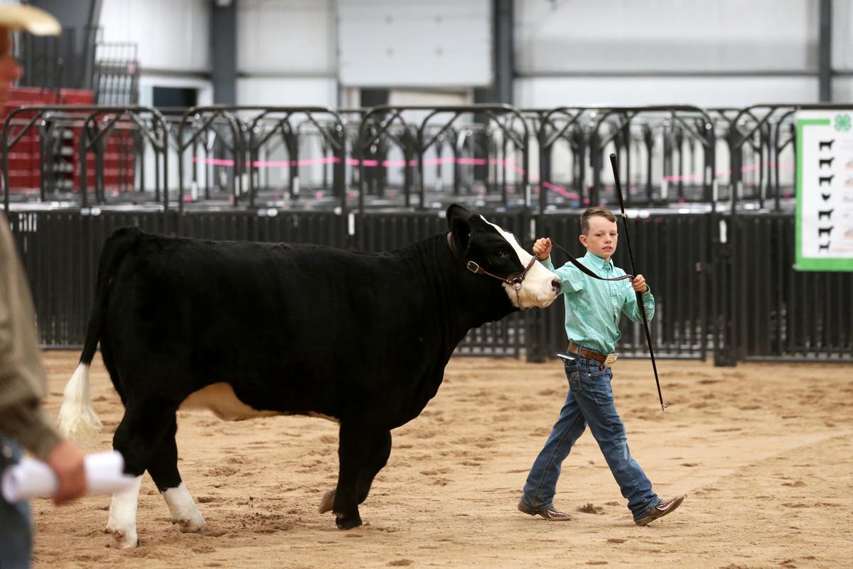 20200731-feat-faircows-mc-6.JPG