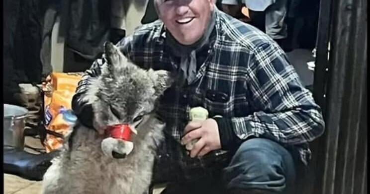 Gordon expresses support for criminalizing the killing of wolves with snowmobiles - Vimarsana News