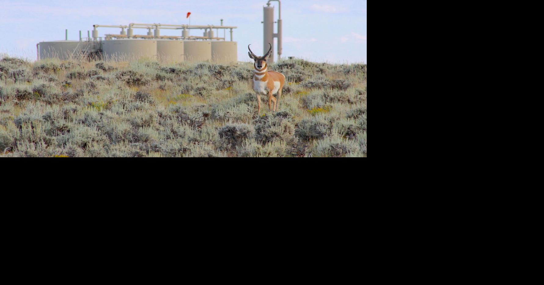 Trump’s Interior secretary ‘takes jurisdiction’ over case that reversed 3,500-well Wyoming gas field