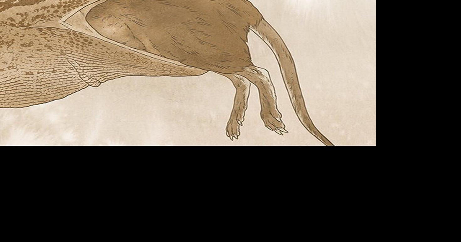 Meet the Jurassic predator that confused scientists for 30 years