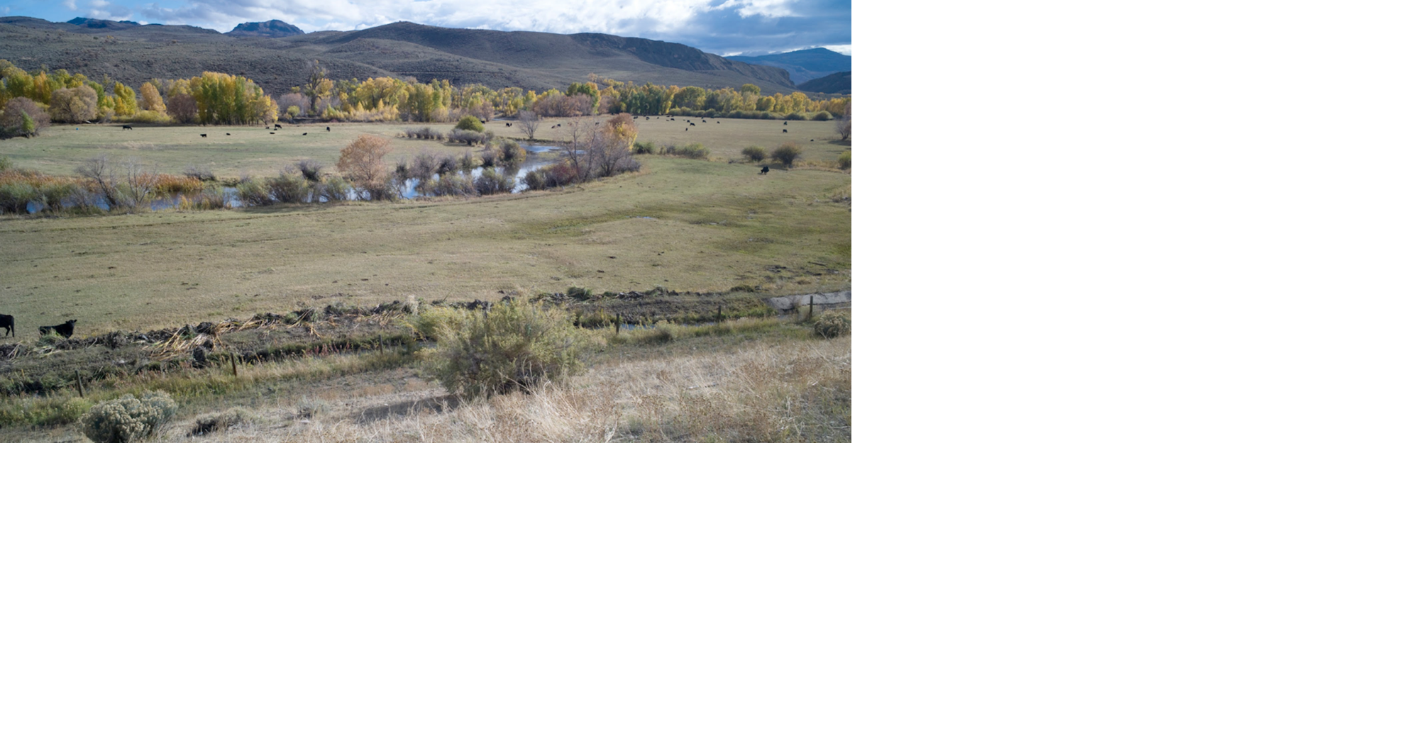 Breaking down the farm bill: Delay has implications for Wyoming | Local ...