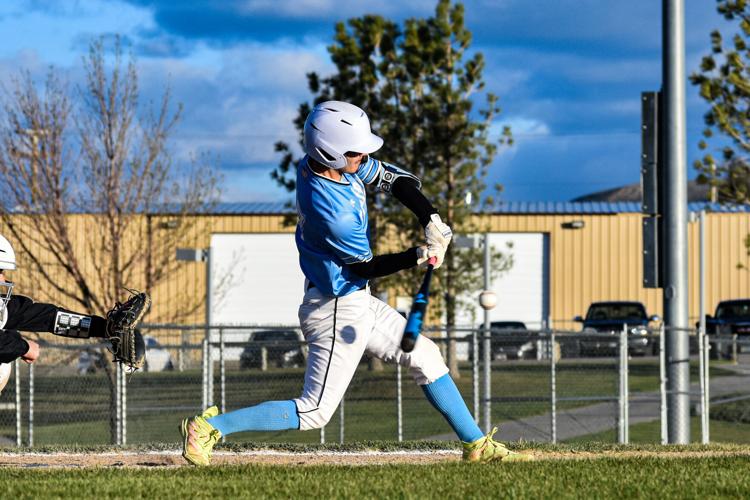 Legion Baseball: Knights, Stallions facing struggles | Rocket Miner ...