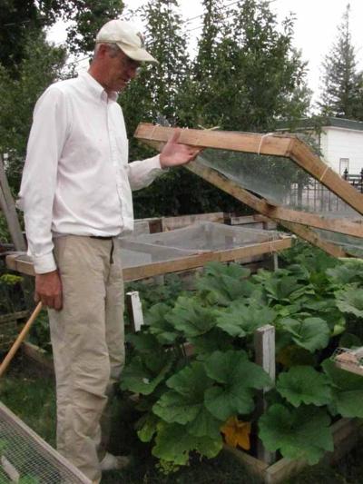 Garden Hail Busters Keep Icy Vandals From Destroying Your Plants Things To Do Wyomingnews Com