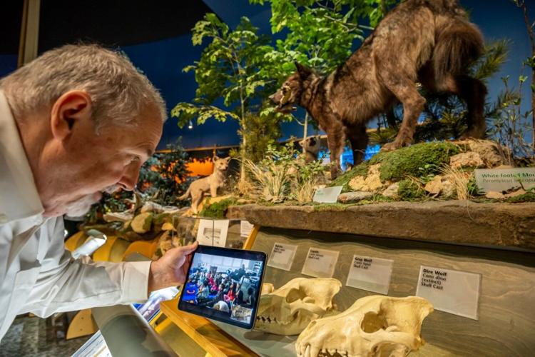 BBCW virtual field trip