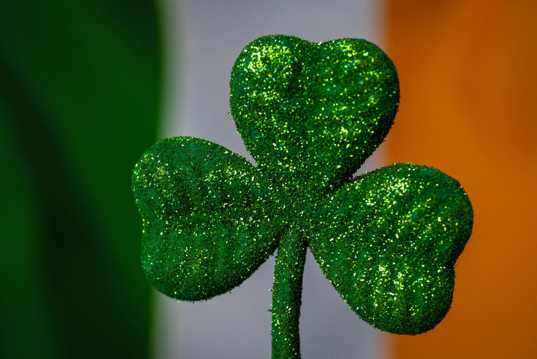 邦楽 SECRET CRUISE TELL YOU WHAT The Shamrock 604c0bc2c63c5.image.jpg?resize