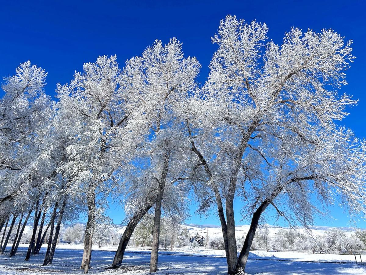 Sticky spring snow a relief across Wyoming | Rawlins Times ...