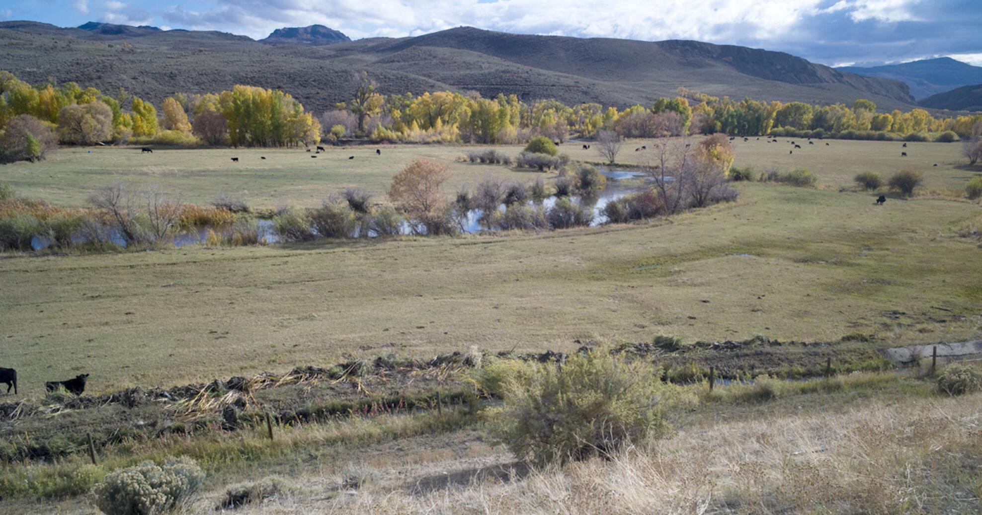 West Fork Dam size in flux as feds reconsider Wyoming plan - Vimarsana News