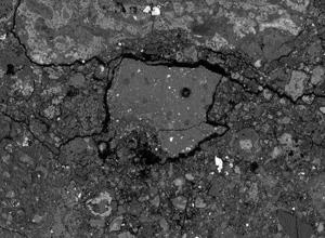 Meteorite that crashed in New Jersey may hold clues to how life began