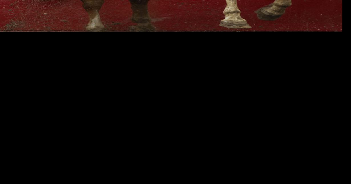 Tanner Aus rides to first go lead in bareback | Cfd | wyomingnews.com