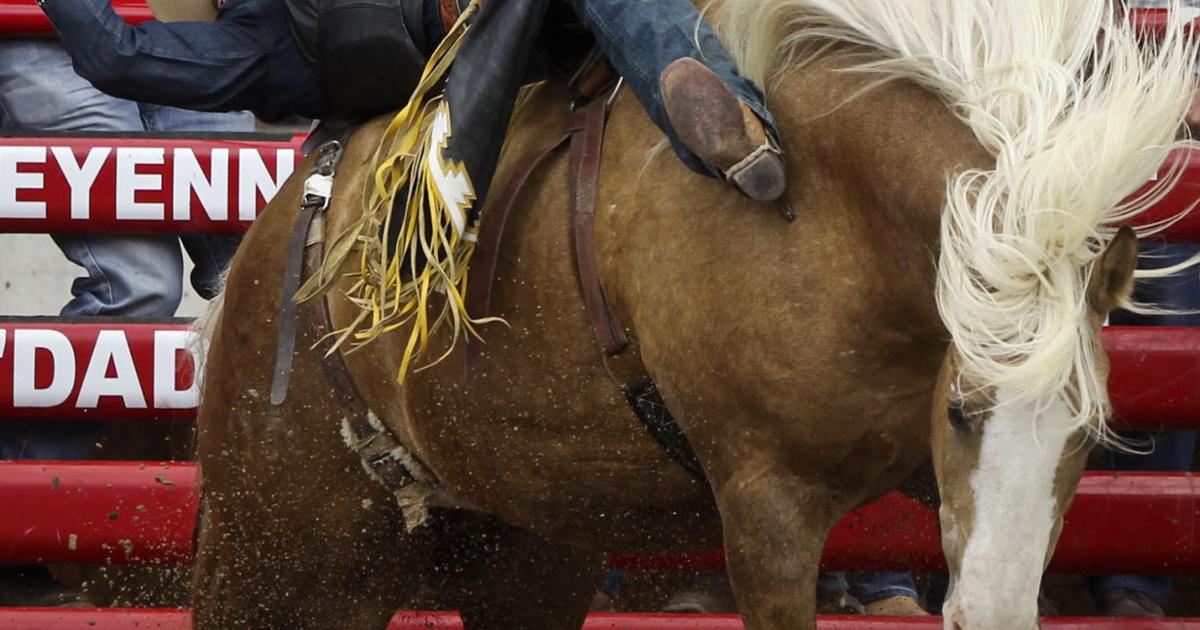 Tanner Aus rides to first go lead in bareback | Cfd | wyomingnews.com