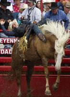 Tanner Aus rides to first go lead in bareback
