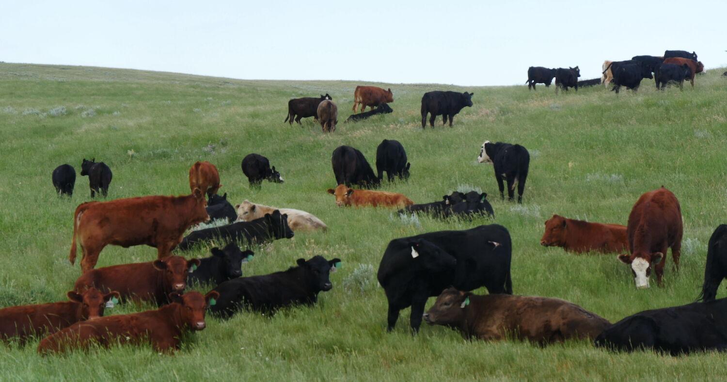 Trend in Wyoming agriculture toward subdividing - Vimarsana News