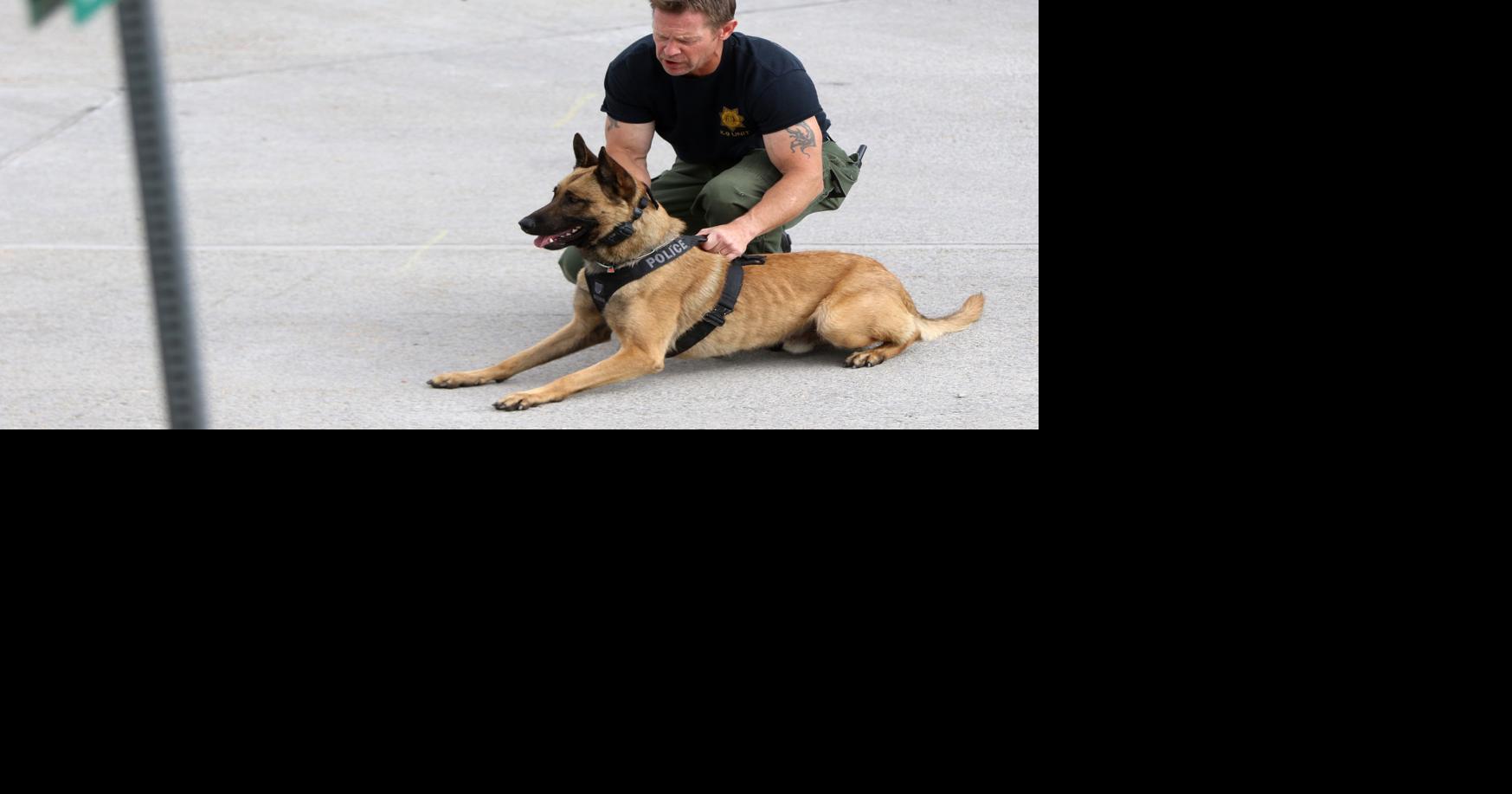 Wyoming Supreme Court rules drug dogs can sniff car exteriors without