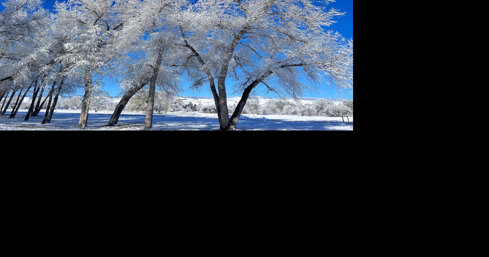 Sticky spring snow a relief across Wyoming | News | wyomingnews.com