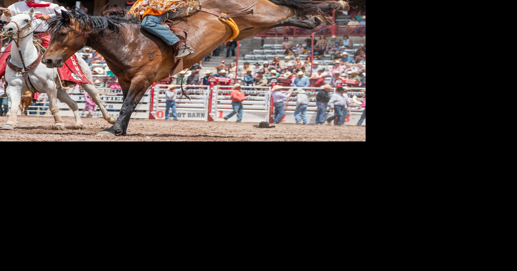 Bareback riding steals show at first CFD semifinal