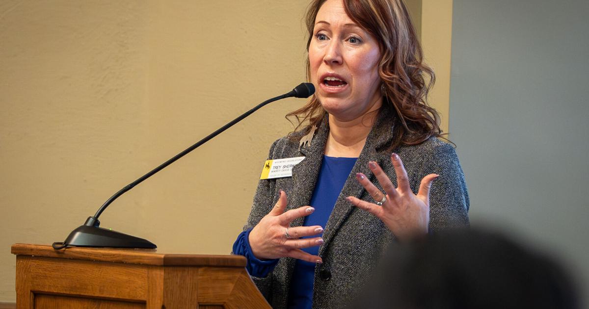Project Wy Wyoming House OKs move that could fund community colleges' construction ...