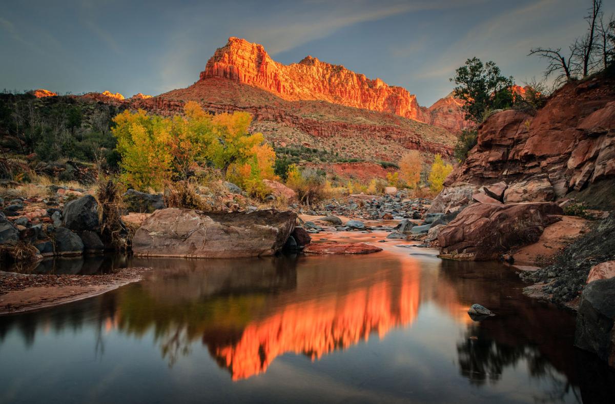 Utah animal sanctuary draws intrepid travelers looking for ...