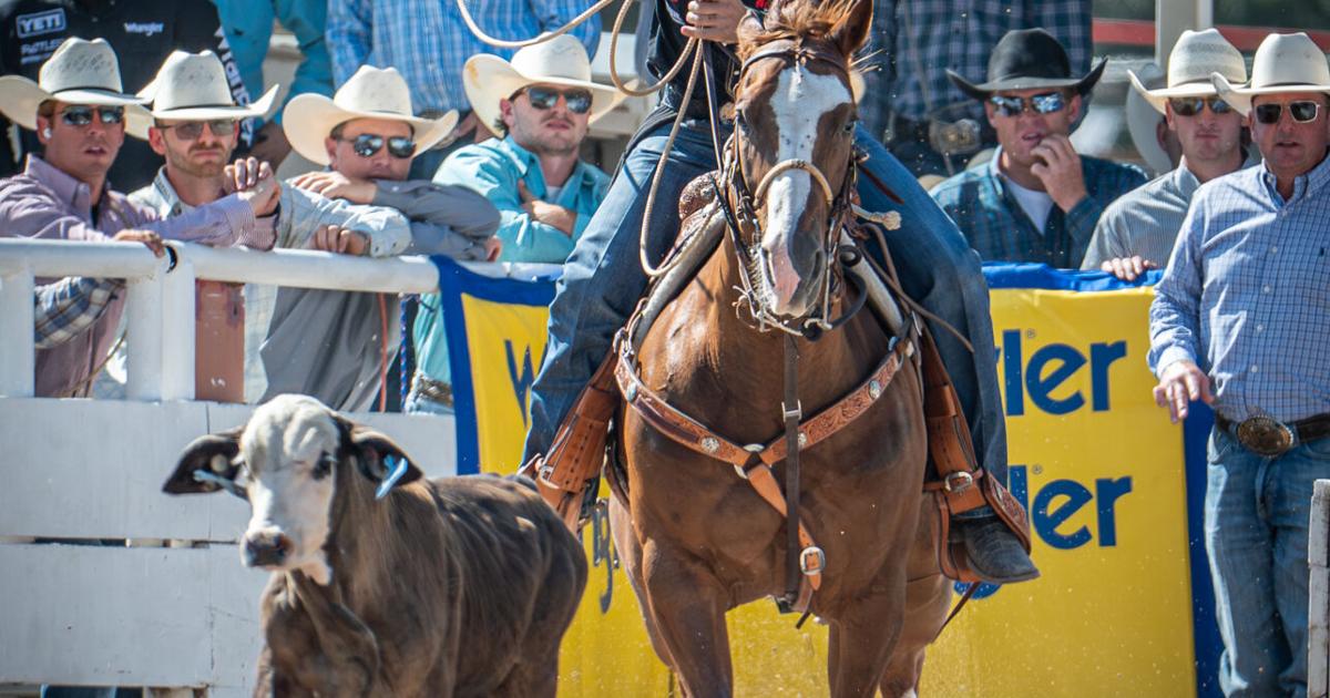 Riley Wilson Roper Tie-down roper Riley Webb chasing third world title, mentoring others ...