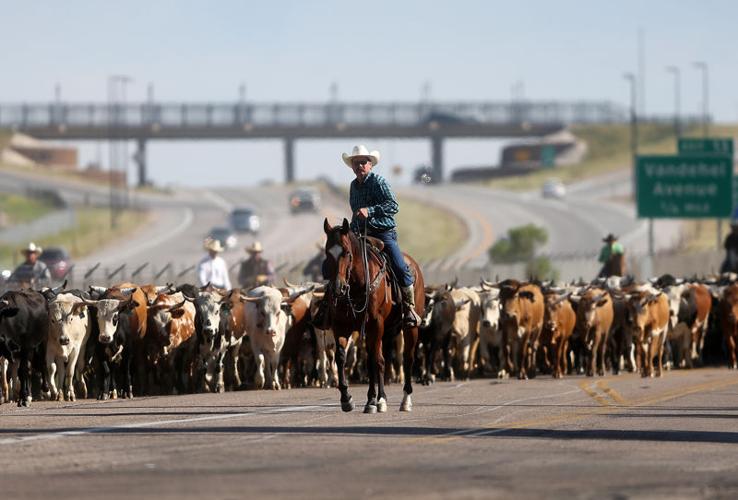 Annual CFD cattle drive Gallery