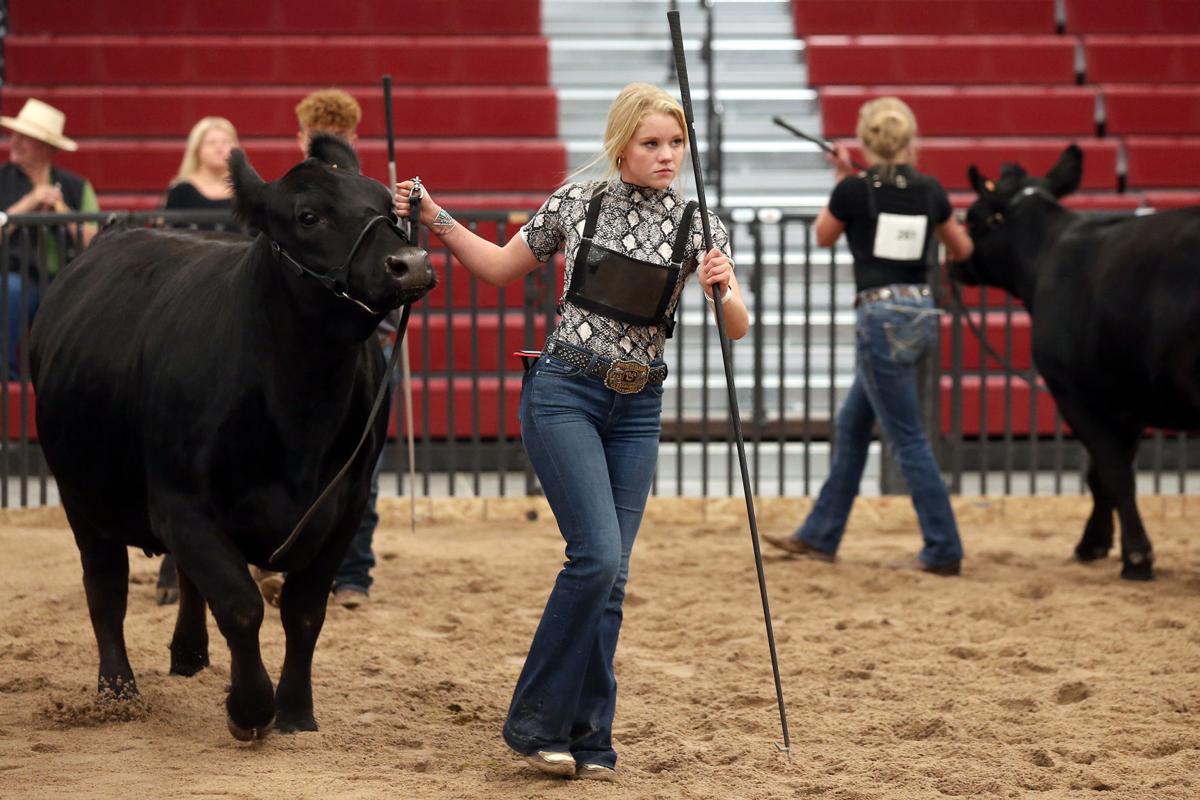 20200731-feat-faircows-mc-9.JPG
