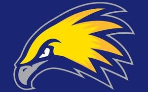 COLLEGE VOLLEYBALL: LCCC falls to Colby Community College