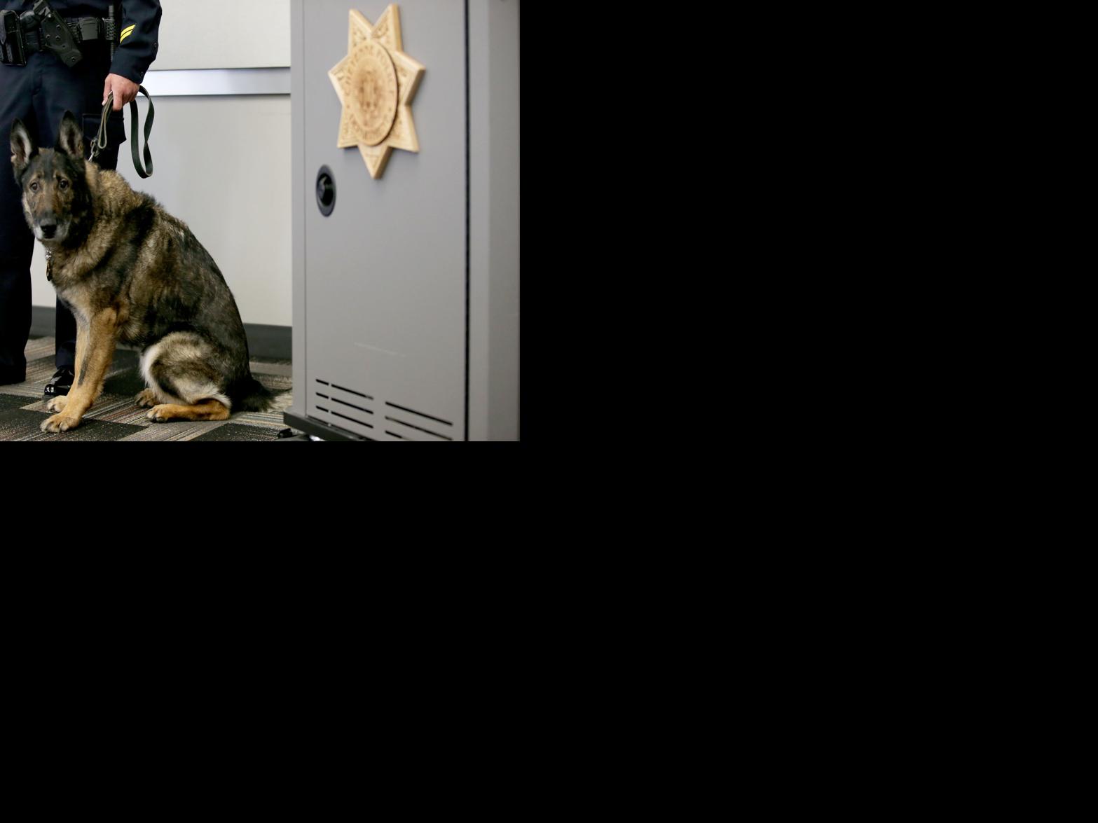 Cpd Canines Capo Ruger Retire After 7 Years Of Service Local News Wyomingnews Com