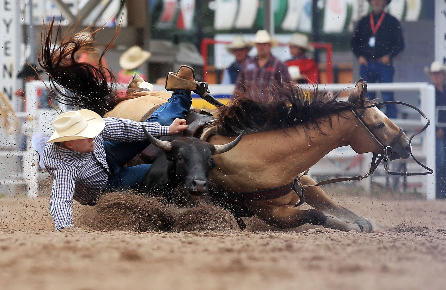 CFD, animal activists see two different rodeos Local News wyomingnews photo