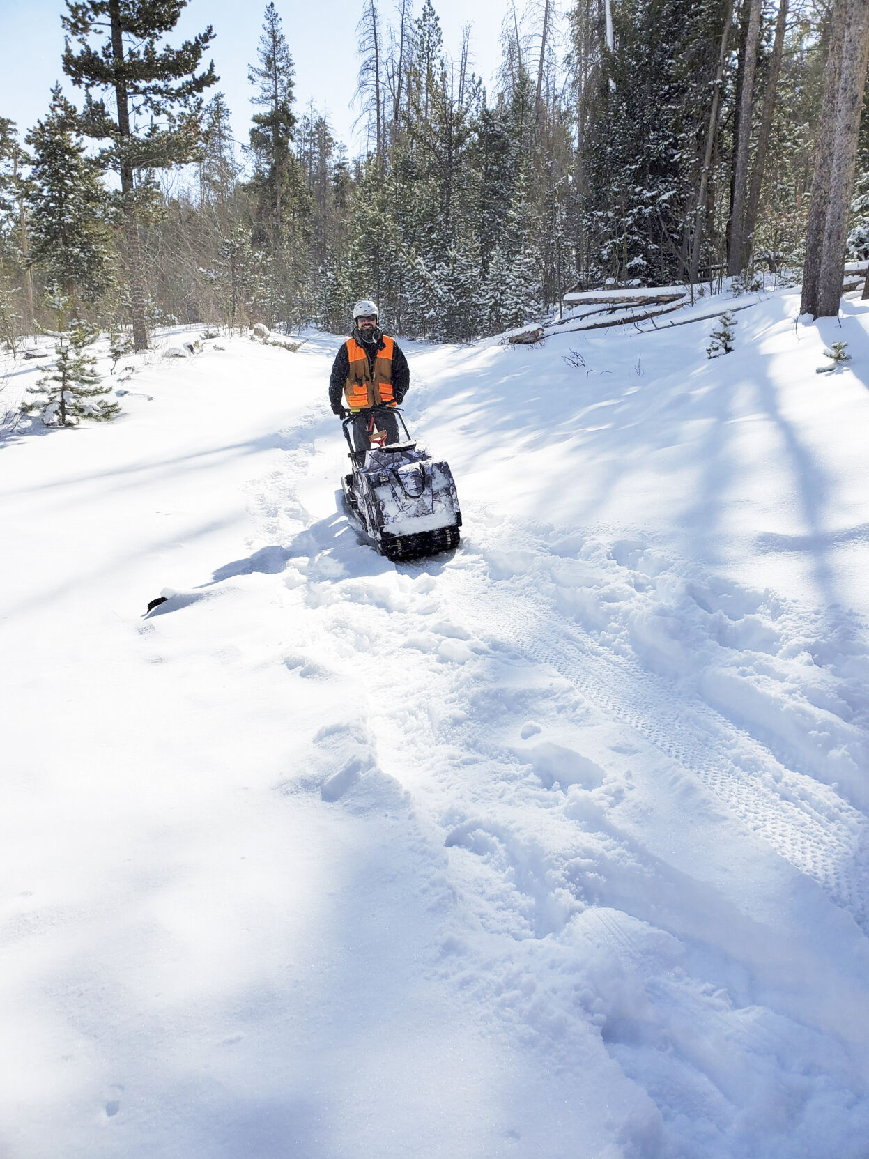 The Snow Dawg - celebration in the snow | News | wyomingnews.com