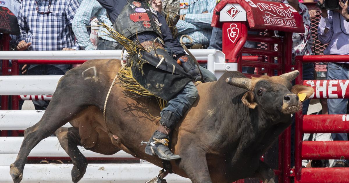 CFD Rodeo, Tuesday July 23 | Gallery | wyomingnews.com