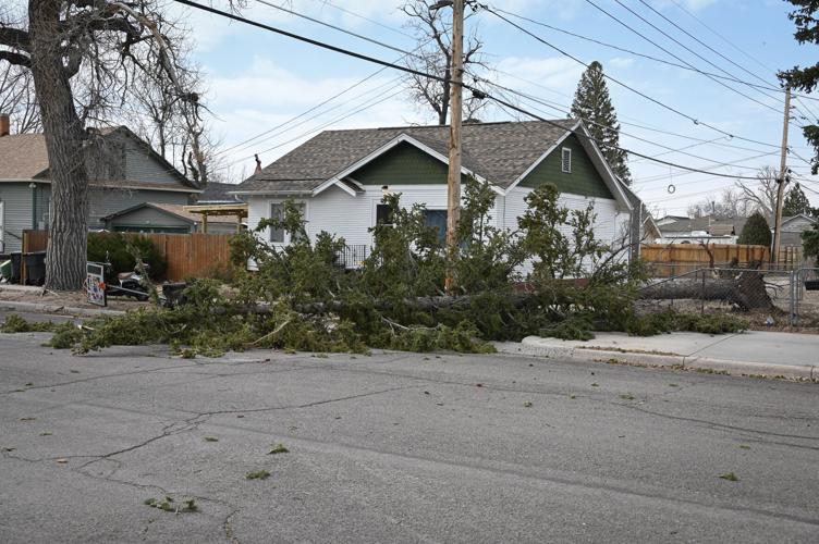 Wind storm with 92 mph gusts whips through Cheyenne, causes damage ...