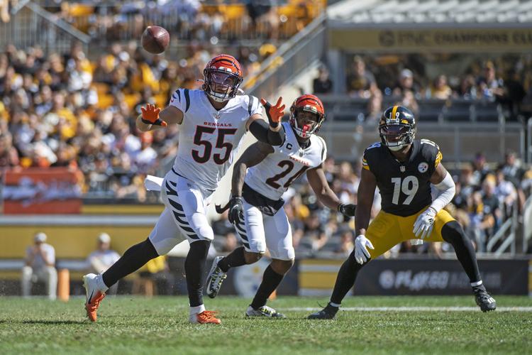 Pokes In The Pros: Logan Wilson Finds the Football and the Bengals Get a  Win - University of Wyoming Athletics